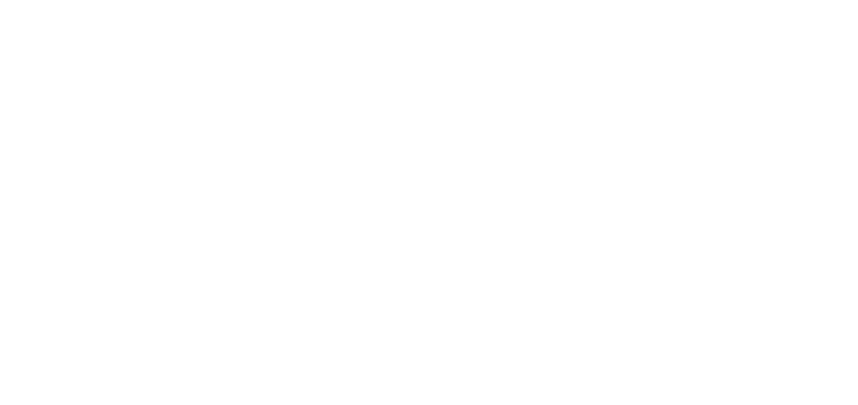 Hrvatska nacionalna vizija